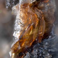 Umbrianite, Fluorophlogopite
