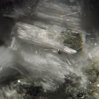 Kaliophilite