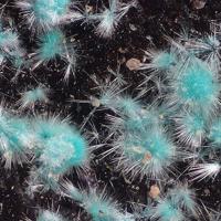 Agardite-(Y)