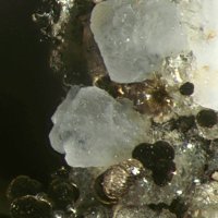 Garronite-Na