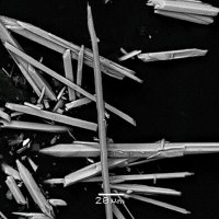 Caysichite-(Y)