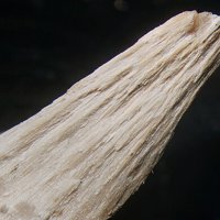 Dalnegorskite