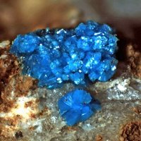 Sampleite