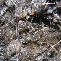 Kaliophilite