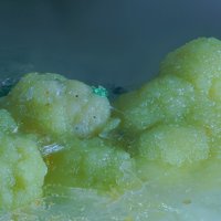 Gaspéite
