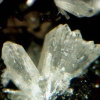Carlhintzeite