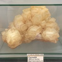 Carnallite