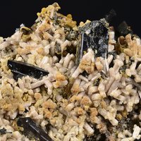 Caysichite-(Y), Aegirine