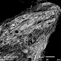 Macfallite