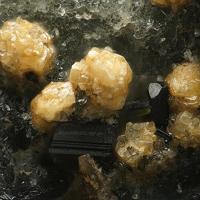 Calciohilairite