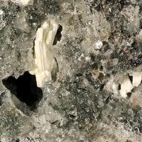 Bazhenovite