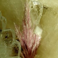 Cascandite
