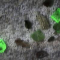 Abernathyite