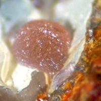 Calcioancylite-(Nd)