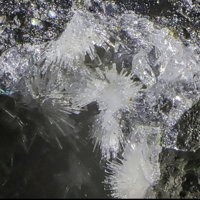 Lanarkite