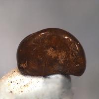 Bahianite