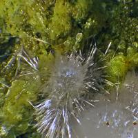 Calcioferrite, Fluorapatite