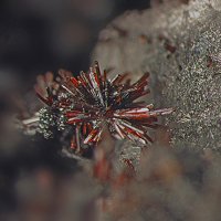 Macfallite