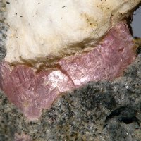 Lanthanite-(Nd)
