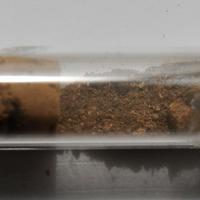 Bassanite, Gypsum
