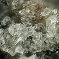 Palmierite