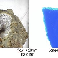 Carpathite