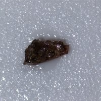 Labyrinthite