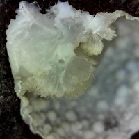 Dachiardite-Ca, Mordenite