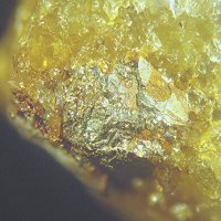Eclarite
