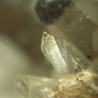 Cascandite