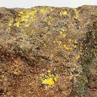 Uranopilite