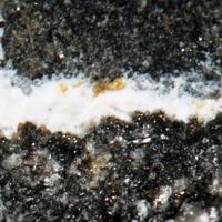 Bazhenovite, Oldhamite