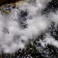 Canavesite