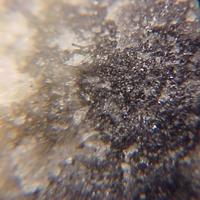 Canfieldite