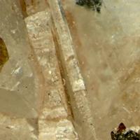 Calcioburbankite