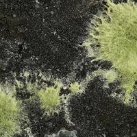 Agardite-(Nd)