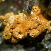 Uranotungstite