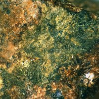 Cavoite