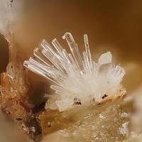 Canaphite