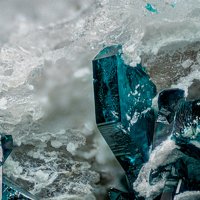 Lammerite