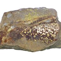 Calcurmolite, Umohoite