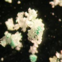 Bandylite, Betpakdalite-NaCa, Hexahydrite