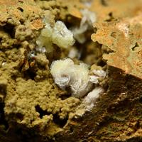 Calcioferrite