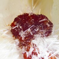 Carminite, Mimetite
