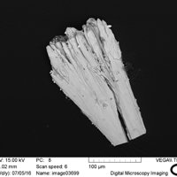 Fassinaite