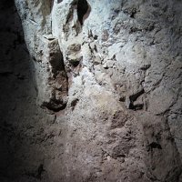 Rabbittite