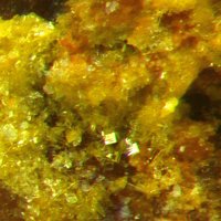 Upalite