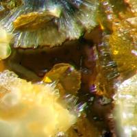 Agrinierite, Uranophane