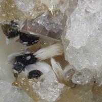 Bastnäsite-(Nd), Vyuntspakhkite-(Y), Yttrofluorite