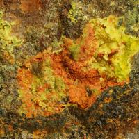 Umohoite, Calcurmolite